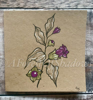 Hand Drawn Deadly Nightshade Greetings Card | botanical witchy art | poisonous herbs | Blank Birthday Thank You