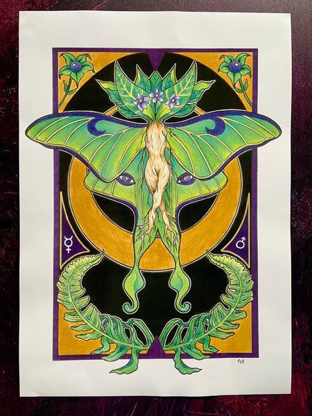 Luna Moth Mandrake A3 Poster Print | witchy botanical art | nature lovers gift | art nouveau wall print | gifts for witches | insect lovers