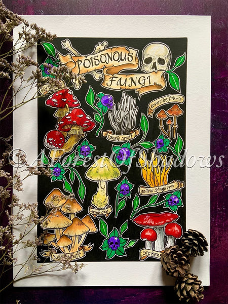 Poisonous Fungi Original Artwork, fungi lovers gift, witchy art