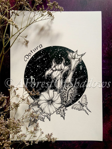 Datura Original Artwork | witchy wall art | occult decor | poisonous herbs | botanical illustration | gifts for witches | black and white