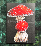 Fly Agaric Greetings Card.