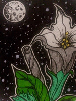 Datura Original Art with Vintage Bone Frame, witchy art, botanical print