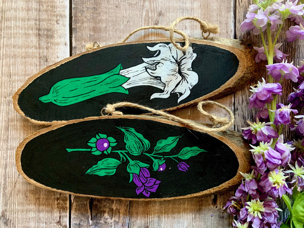 Hand Painted Deadly Nightshade and Datura Wood Slice | witchy botanical art | rustic boho decor | poisonous herbs plants | Forest witch