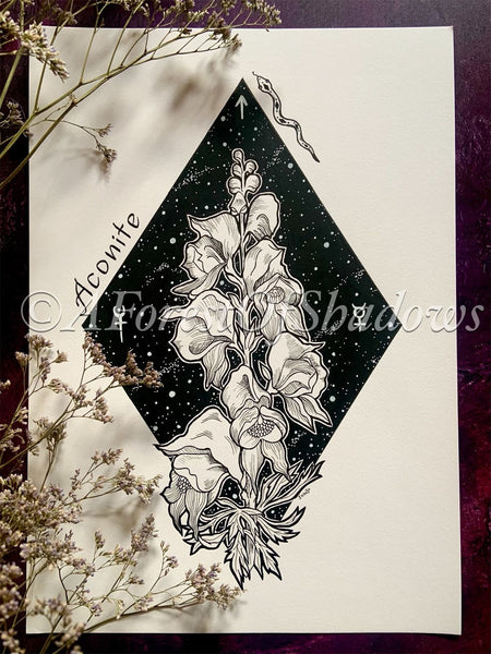 Aconite Witchy Original Artwork | occult art | botanical illustration | pagan Wicca home decor | gifts for witches | poisonous herbs