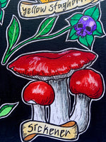 Poisonous Fungi Original Artwork, fungi lovers gift, witchy art