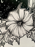 Datura Original Artwork | witchy wall art | occult decor | poisonous herbs | botanical illustration | gifts for witches | black and white